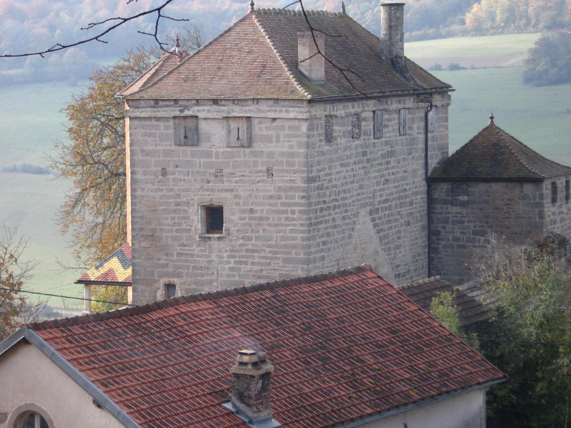 Chateau De Champrenault, Voyagez Dans Le Temps エクステリア 写真